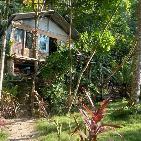 Sumatra Ecolodge Sungaipisang المظهر الخارجي الصورة