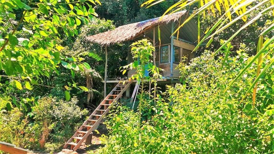 Sumatra Ecolodge Sungaipisang المظهر الخارجي الصورة