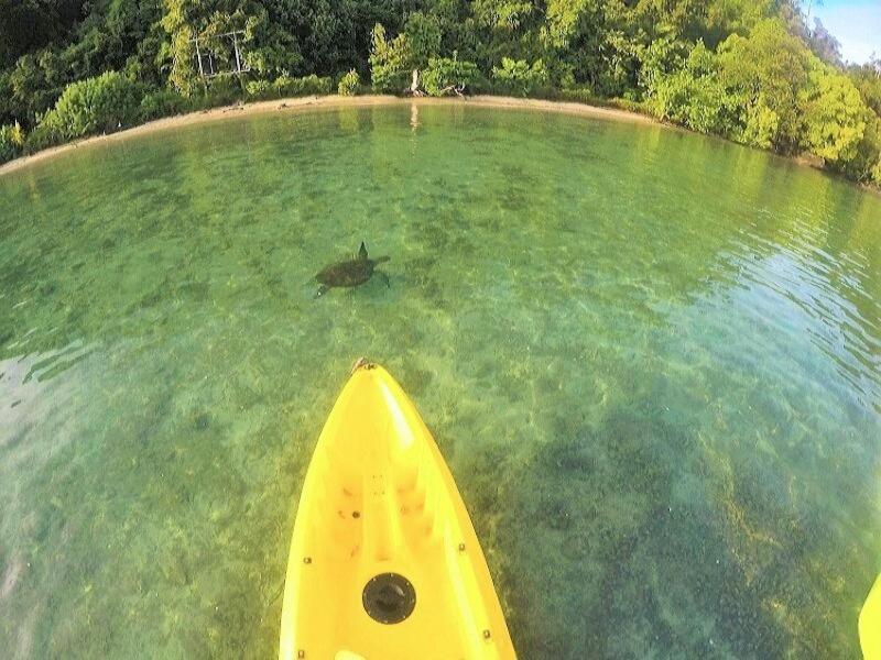 Sumatra Ecolodge Sungaipisang المظهر الخارجي الصورة