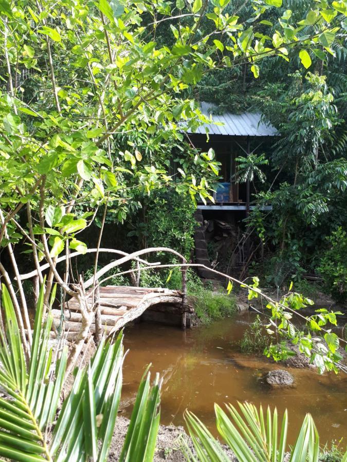 Sumatra Ecolodge Sungaipisang المظهر الخارجي الصورة