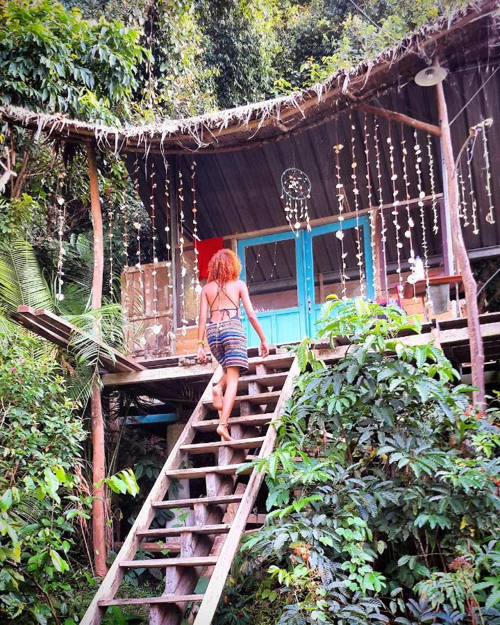 Sumatra Ecolodge Sungaipisang المظهر الخارجي الصورة