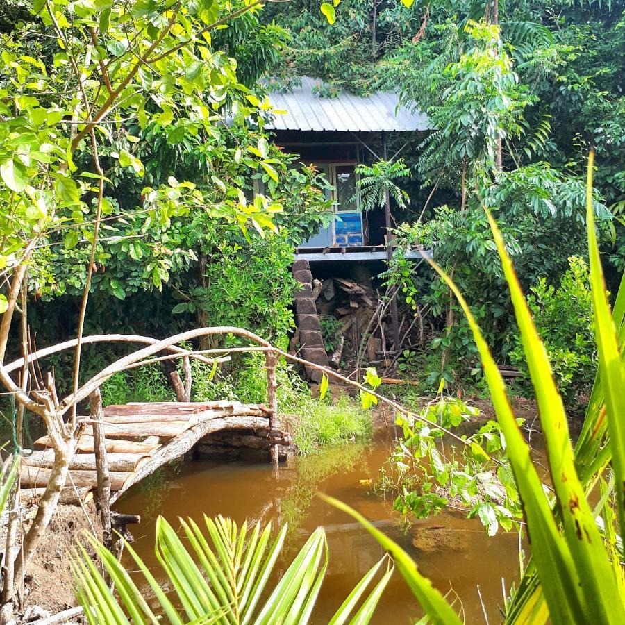 Sumatra Ecolodge Sungaipisang المظهر الخارجي الصورة