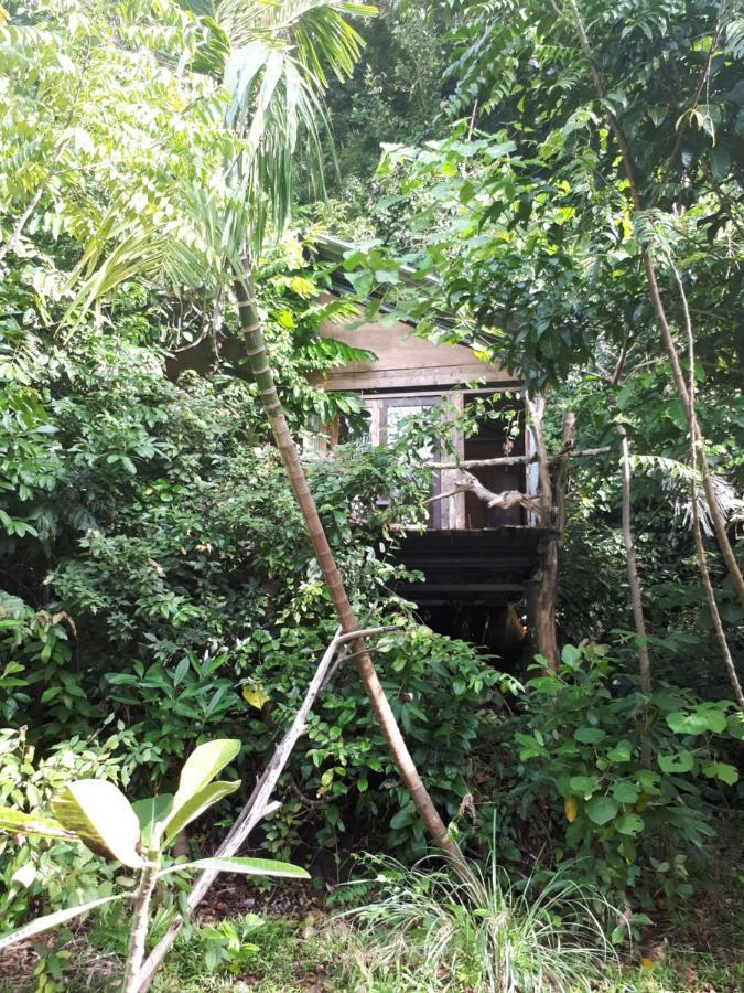 Sumatra Ecolodge Sungaipisang المظهر الخارجي الصورة