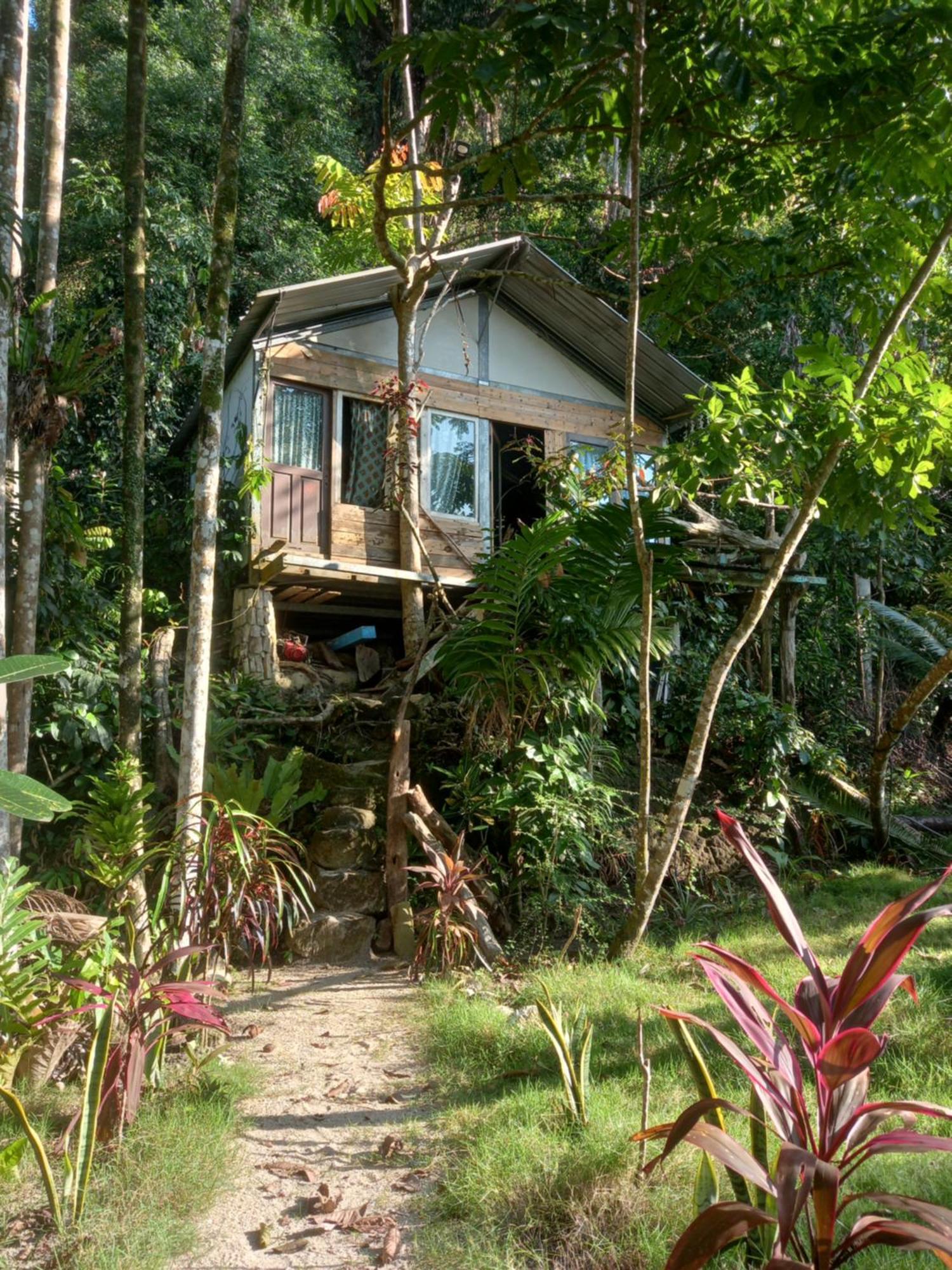 Sumatra Ecolodge Sungaipisang المظهر الخارجي الصورة