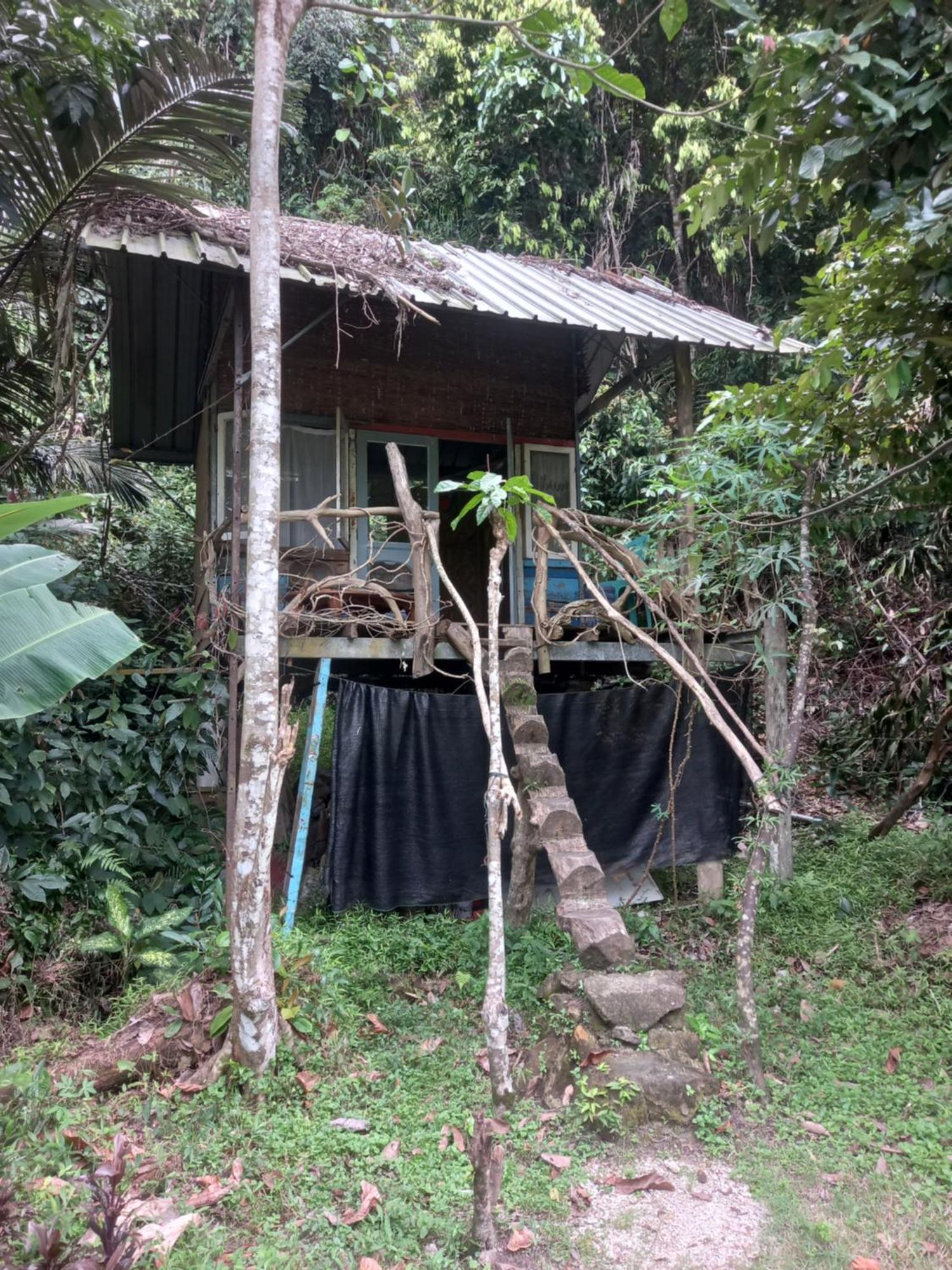 Sumatra Ecolodge Sungaipisang الغرفة الصورة